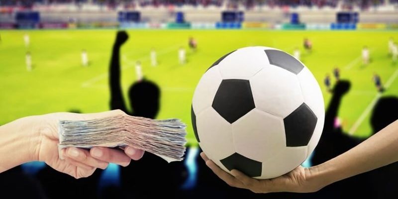 Bí quyết nâng cao tỷ lệ thắng khi đặt cược bóng đá